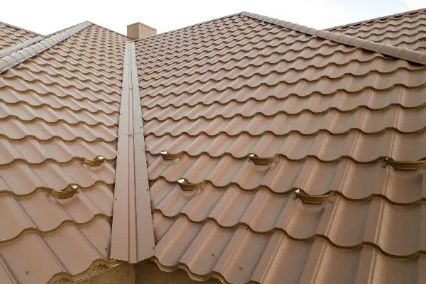 detail-of-a-house-roof-surface-covered-with-brown-2024-12-06-15-50-33-utc